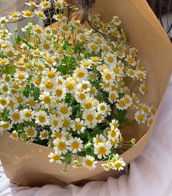 ยังชอบเสมอ ความหมายของเดซี่ You can’t be sad when Daisy is all around, she won’t let you. ‘ถ้ามีเดซี่อยู่ใกล้ๆ เธอจะไม่มีทางปล่อยให้คุณเสียใจ’ น่ารักมากๆ เพราะงั้นทุกครั้งที่มองเดซี่จะรู้สึกดีเสมอเลย แด่ความสดใสของเรา :-)