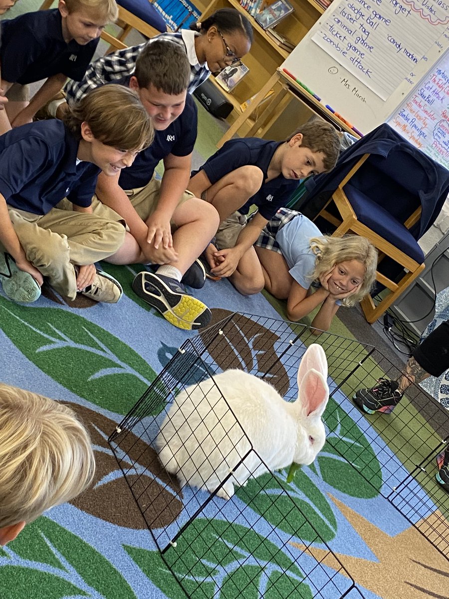 Angelica Marsh tweet media