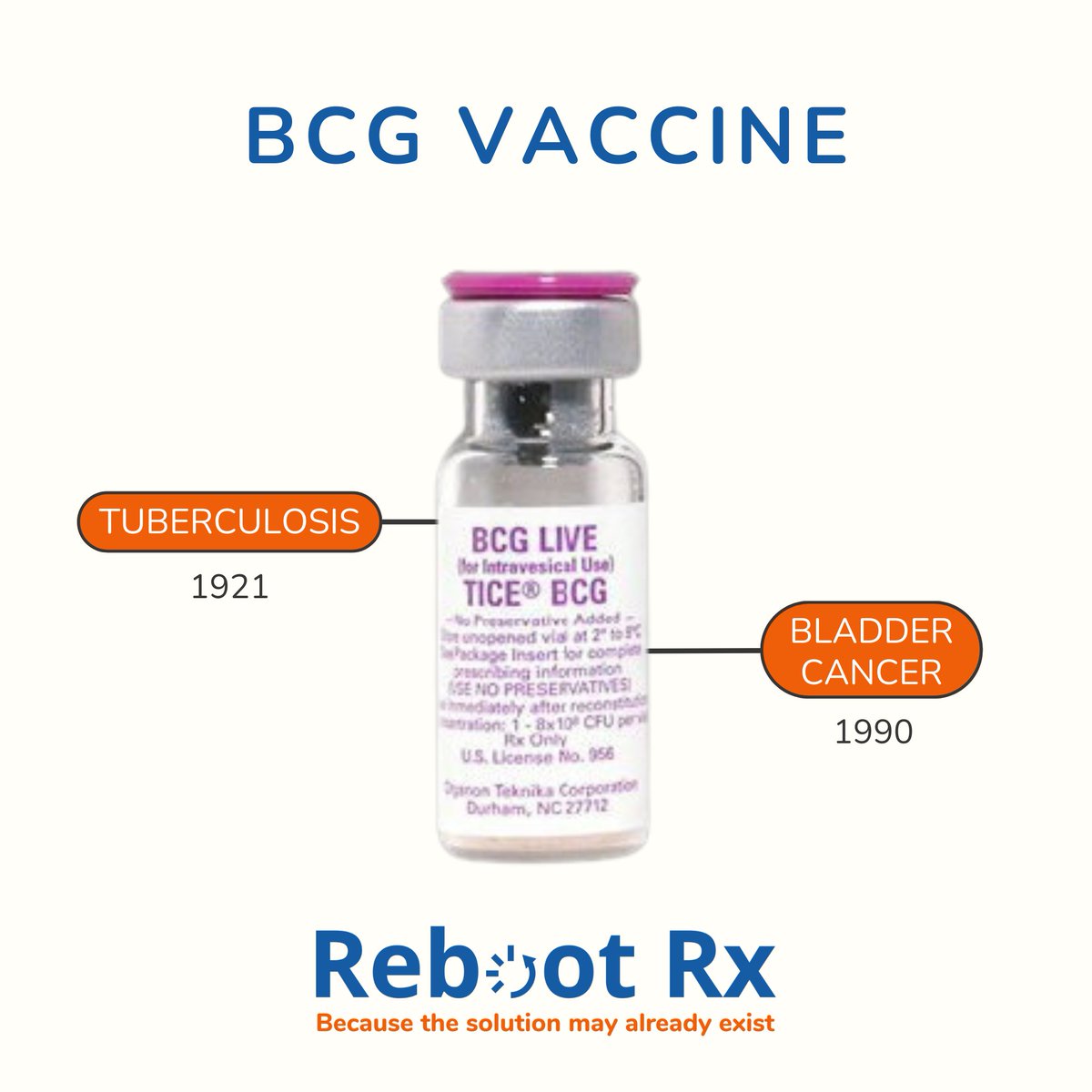 The BCG vaccine for tuberculosis was repurposed for #bladdercancer following a serendipitous clinical observation. BCG reduces the risk of recurrence and progression in high-risk non-muscle invasive bladder cancer and was the first cancer #immunotherapy to be FDA-approved.