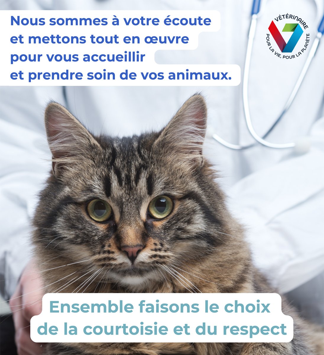 Le saviez-vous ? Toute agression physique ou verbale contre le personnel d'un établissement de soins #vétérinaires est passible de poursuites judiciaires, conformément aux articles 222-7 et suivants du Code Pénal (3 ans d'emprisonnement et 45 000€ d'amende en l'absence d'ITT).