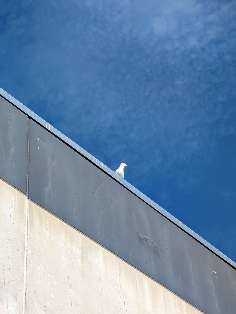 Marques Brownlee tweet media