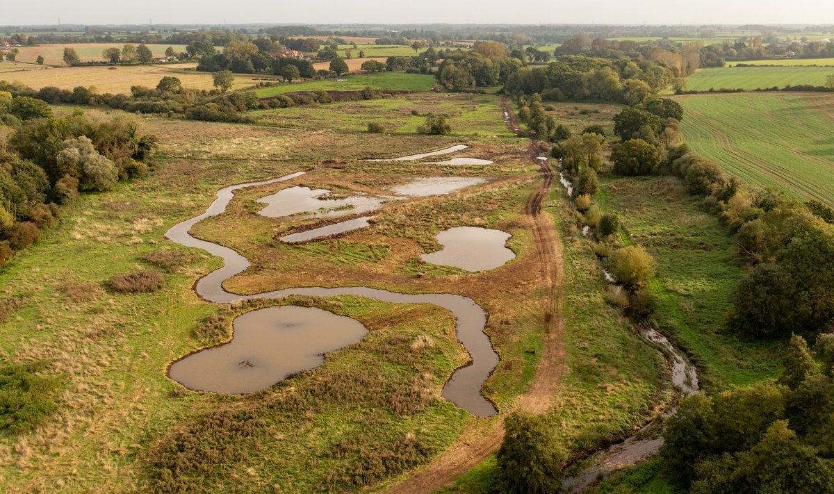Before &amp; after from our project with <a href="/N_Rivers_Trust/">Norfolk Rivers Trust</a>. There's still digging to do as we work on connecting the new route to the river.

The aim is to transform the area by creating a dynamic mosaic of wetland habitats within the floodplain &amp; restoring the river habitat.