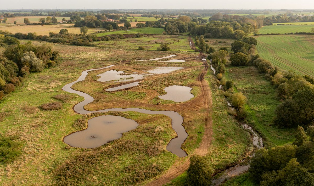 Before & after from our project with @N_Rivers_Trust. There's still digging to do as we work on connecting the new route to the river. The aim is to transform the area by creating a dynamic mosaic of wetland habitats within the floodplain & restoring the river habitat.