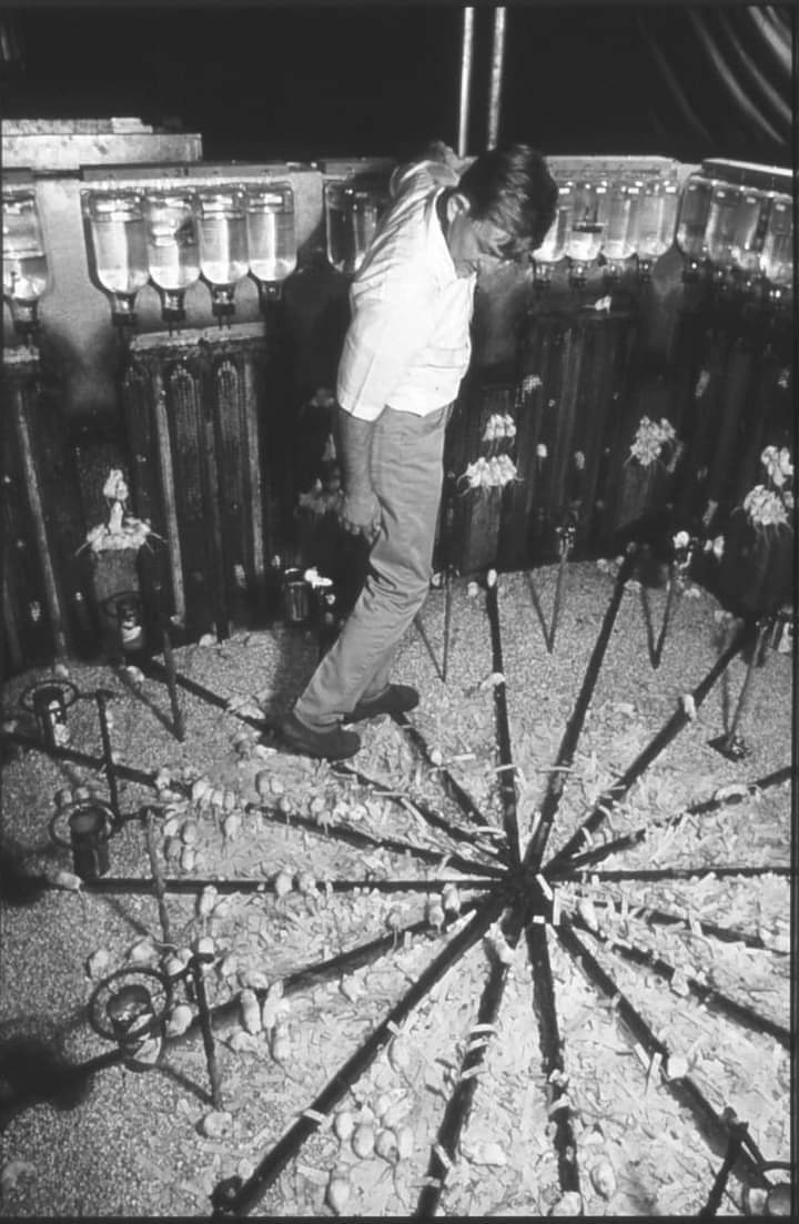 El experimento "Universo 25" 

Es uno de los experimentos más terroríficos en la historia de la ciencia, que, a través del comportamiento de una colonia de ratones, es un intento de los científicos de explicar las sociedades humanas. 

La idea del "Universo 25" vino del