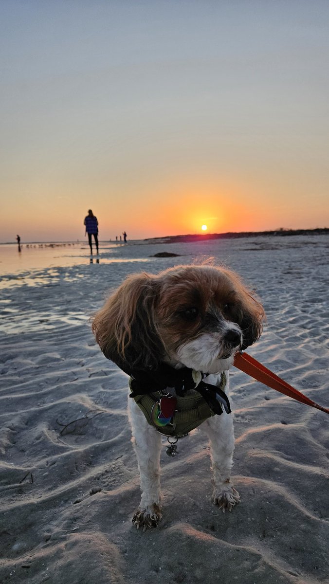 Only a few days into my trip with Minerva to visit my mom in Florida and OMG did I need this vacation. And still more then 1/2 the trip to go!