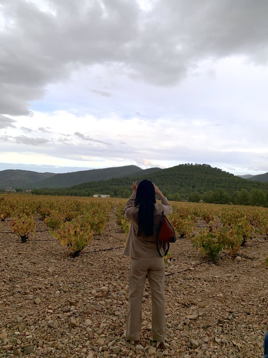 Valle de la Venta del Pino 🍁🍂<a href="/DOP_Bullas/">BULLAS D.O.P</a> 
#Fall2023