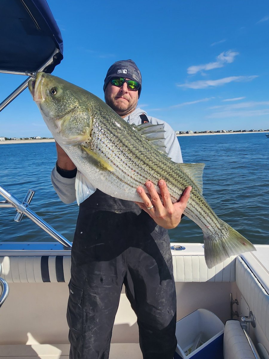 OutInTheSea1's tweet image. Fall striper run #striper #striperfishing #fallrun #southshoreboating #southshorefishing
