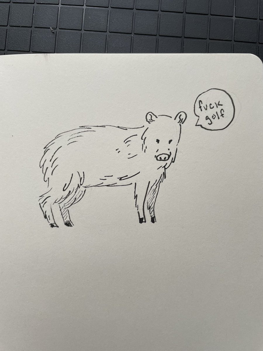 joining the war on javelinas on the side of the javelinas