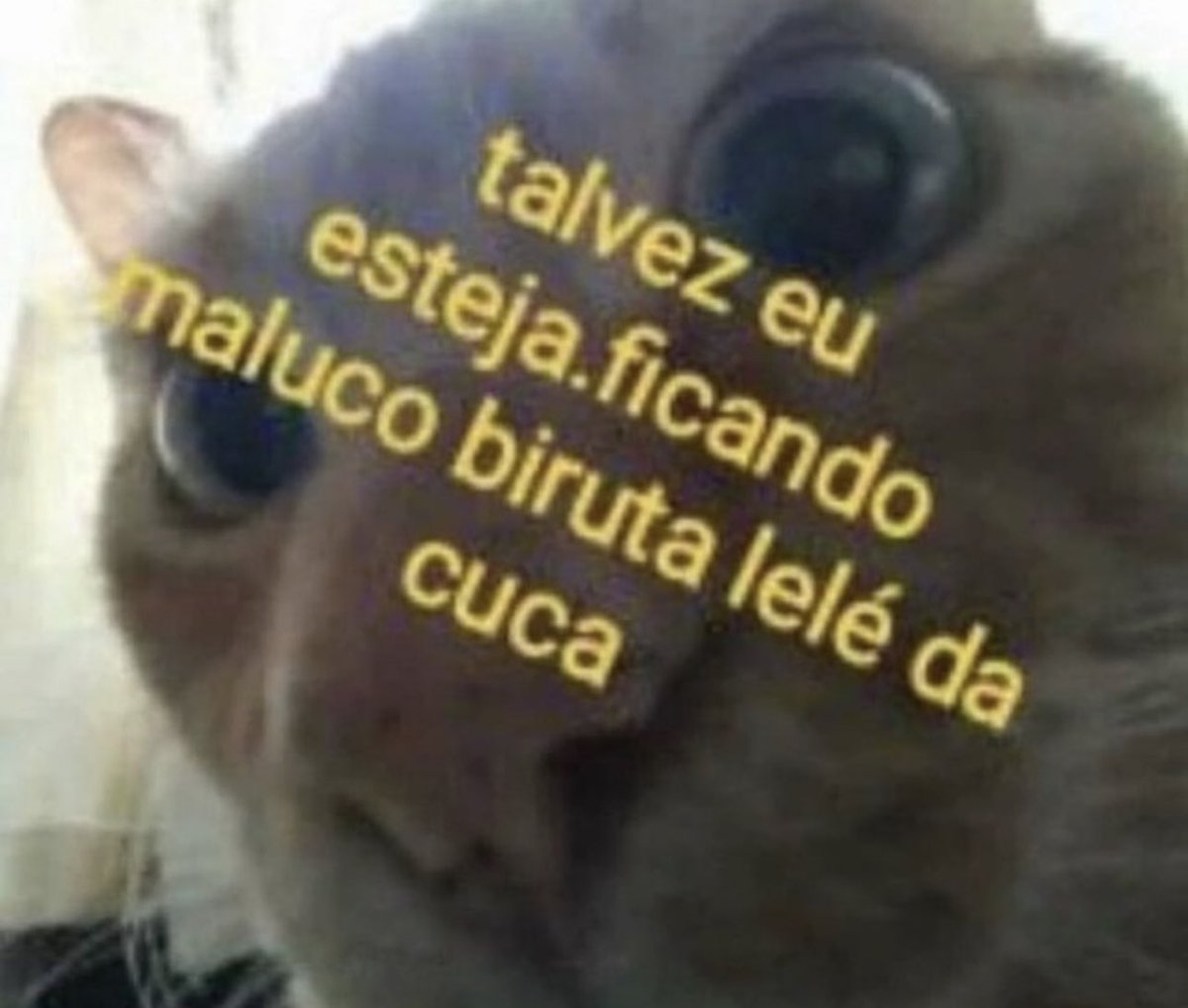 Shitpost só que de verdade tweet media