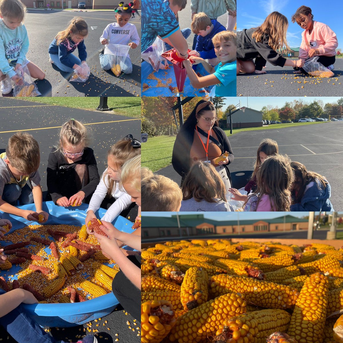 It was the perfect weather for our Corn Day! The kids had a blast shelling corn. As usual, the best part is always hearing all their wonderings and observations. 🥰🌽<a href="/NobleCrossing/">Noble Crossing</a> <a href="/NobSchools/">Noblesville Schools</a>