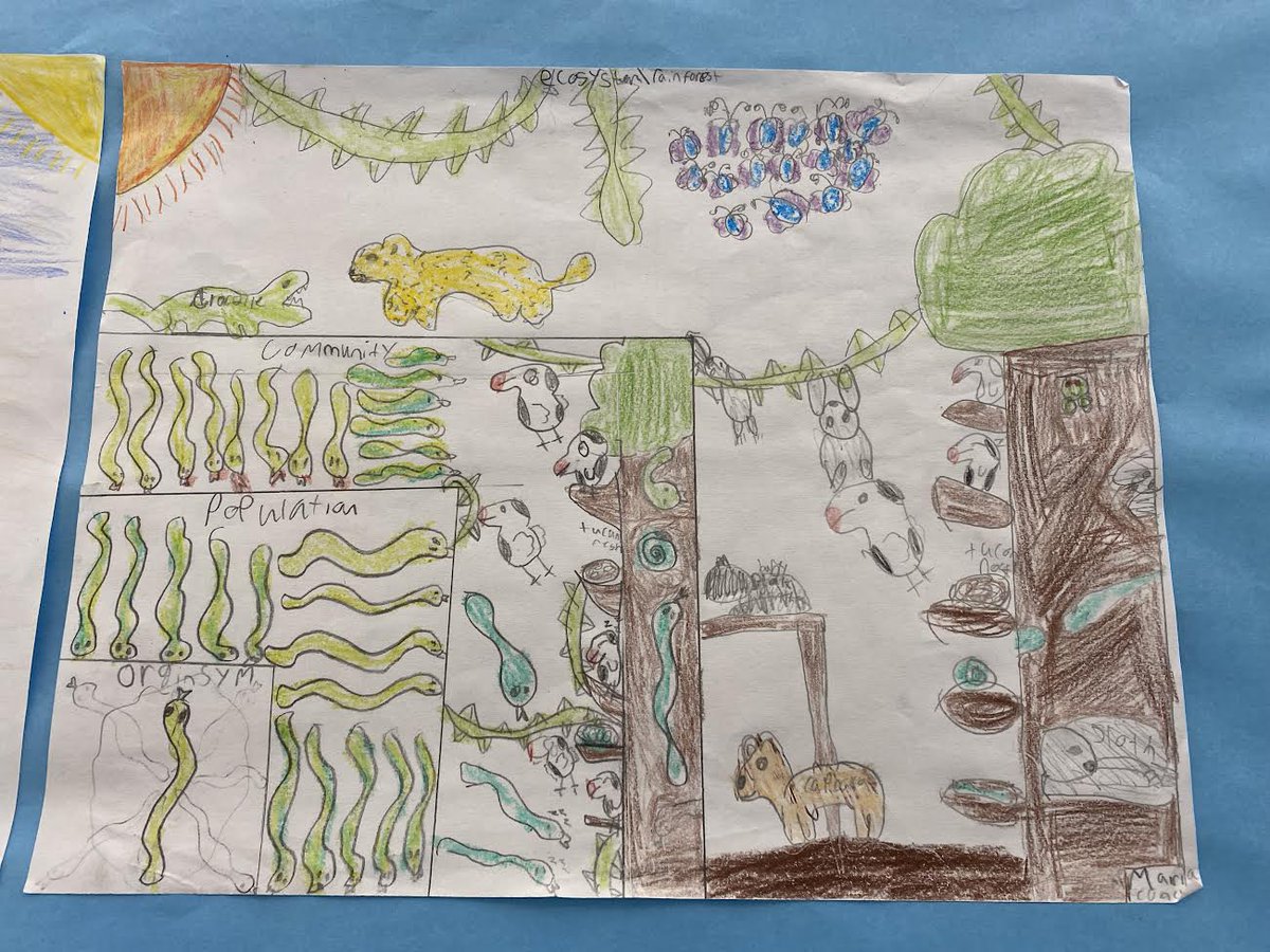 SwansonL16's tweet photo. We learned about the Levels of Organization in Ecology and then created models based on our Ecosystems research. @EphesusElem https://t.co/dTKV5QmXZx