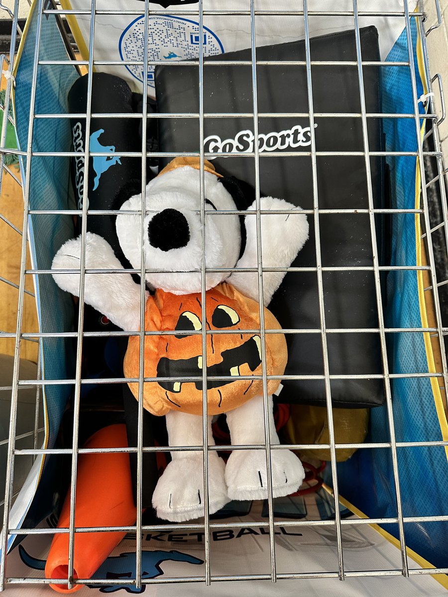 SnoopyWhereRU's tweet photo. HELP ME!! @Anadgar16 @pride_mustangs https://t.co/DjazbhiUZU