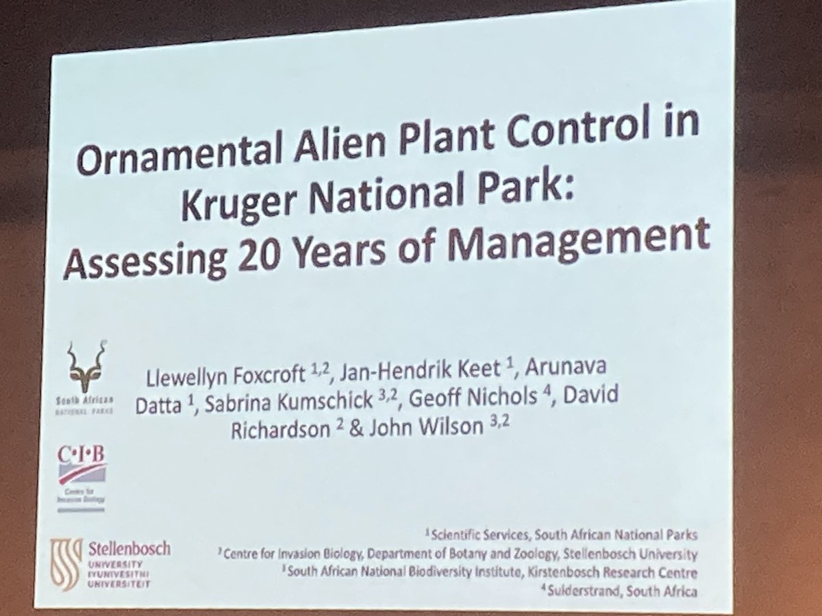 laufw81's tweet photo. Kruger National Park 20 year management of alien invasive ornamental plants revised: progress? 
Number of alien species cultivated at camps increased 😰 but number of regulated species decreased ✅ ➡️progress = partial @FoxcroftLC @emapi2023 @SANParks https://t.co/EBhaTDDYPf