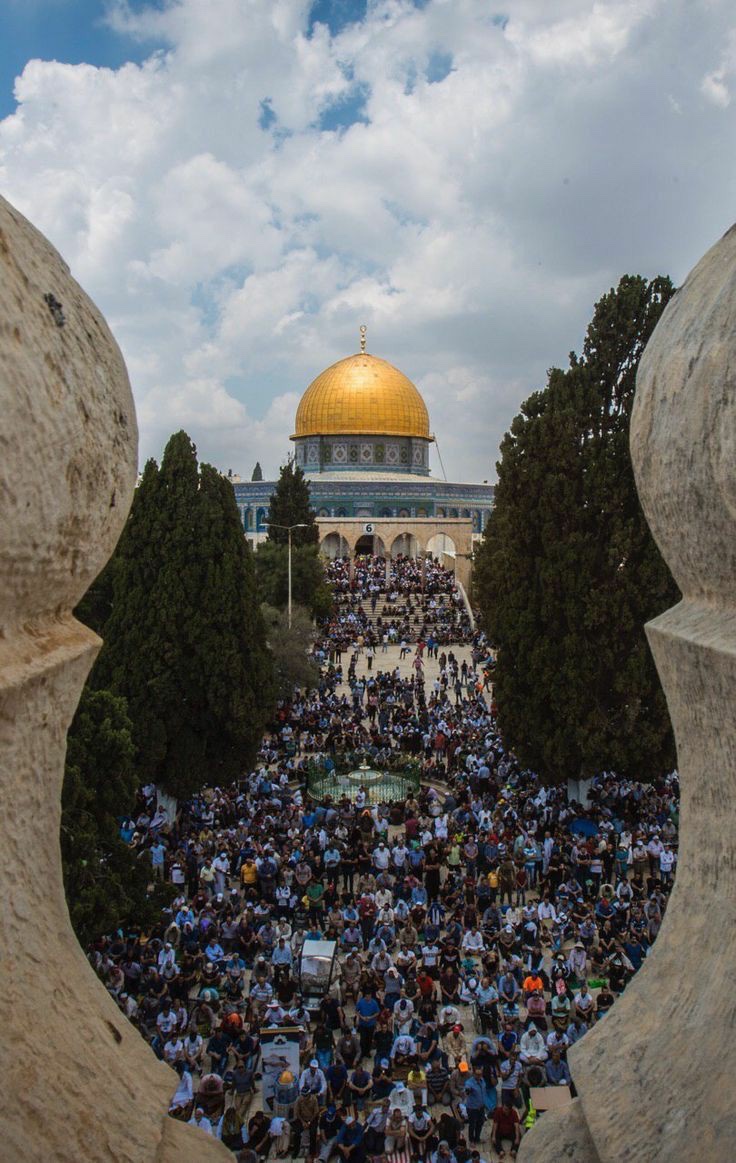a7med_3ssa's tweet photo. "فلسطين وشعبها في عنايتك يارب " 🇵🇸♥️ https://t.co/oT9c72suPZ