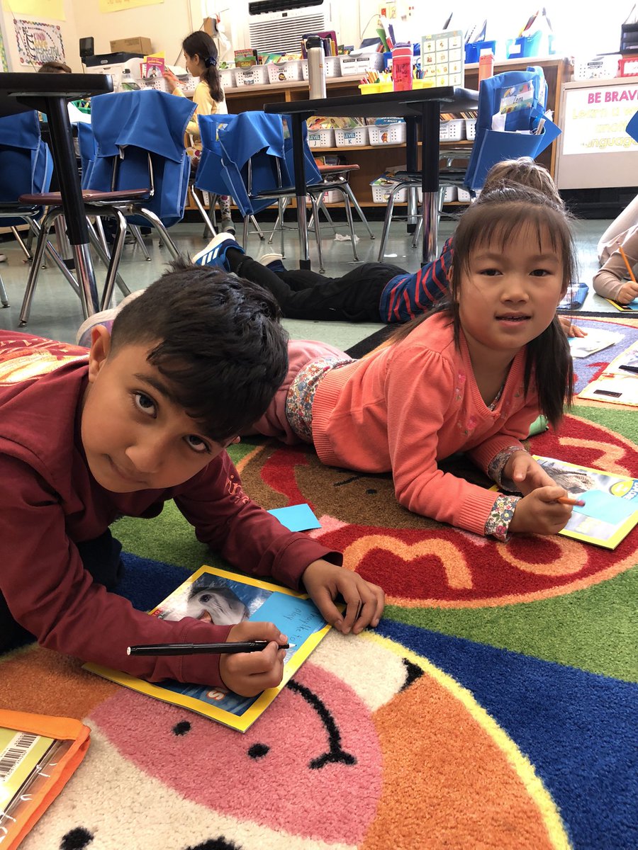 Ms. Knaupp tweet media