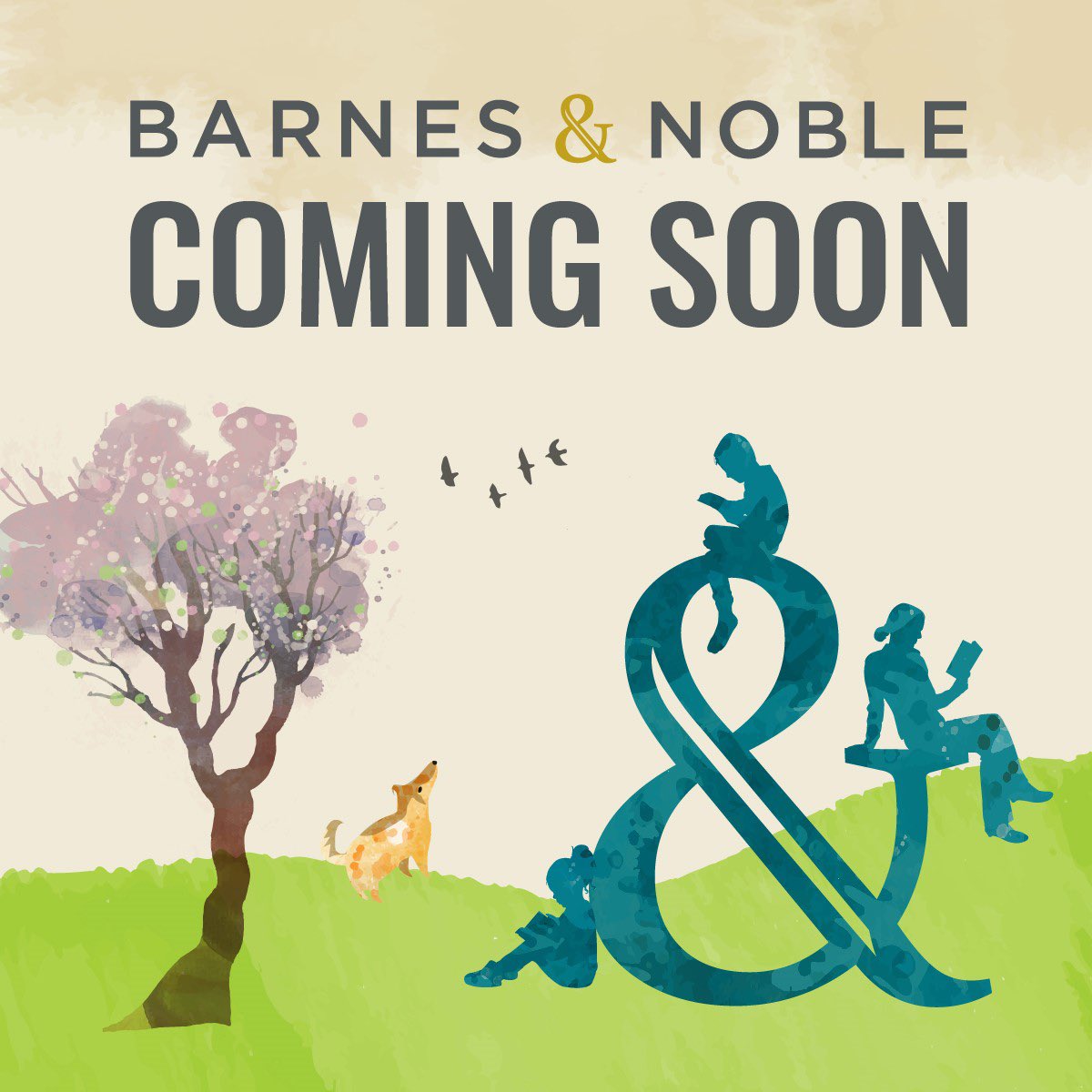 BN Ledgewood tweet media