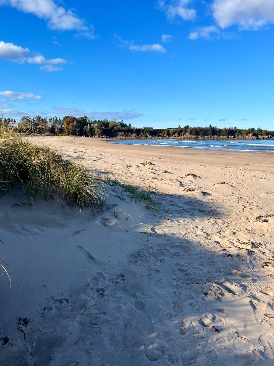 KimKDickson's tweet photo. What a gorgeous afternoon at  Melmerby Beach in @OfPictou #PictouCounty @ryansnoddon #beachshadows #NorthumberlandStrait #warmestwatersnorthoftheCarolinas #NovaScotia https://t.co/3WpJWpAYWa