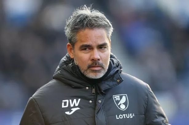 Alex Linardos tweet media