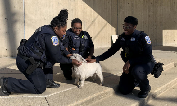 DCPoliceDept's tweet photo. Owner Reunited with Dog Stolen During Armed Robbery https://t.co/RpW33zh9X7 https://t.co/kHybkJjzUl