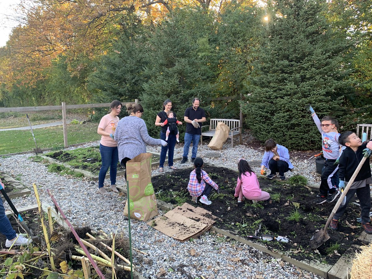 NoviParkview's tweet photo. Garden cleanup and potato harvesting on this beautiful fall day! Thank you volunteers and super Garden Club teachers! @Musa2nd @tajones719 @ReneeGantt1 @Cyrusm344 @KerryKowalczyk @MsAlliston https://t.co/YU20XsuOWN