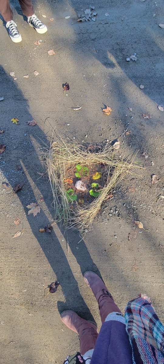 mrspowers5's tweet photo. Some examples of our nature mandalas for Take Me Outside Day! 
#takemeoutside #takemeoutsideday #asdn #tmoasdn #environmentalart #phemoralart #sugarloafshs https://t.co/bQ9Ew5CZsi