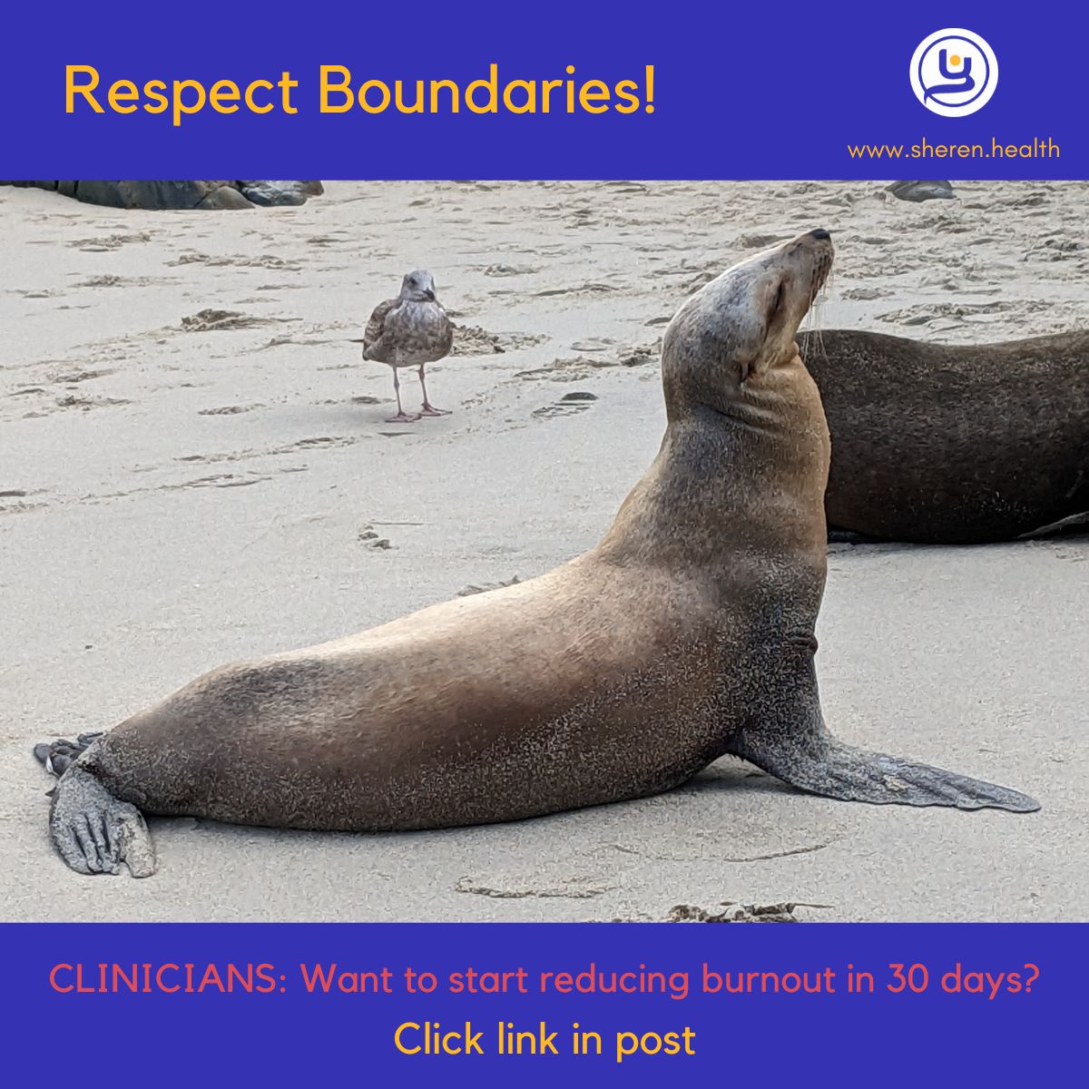 Respect boundaries in clinical care & #PreventBurnout. Join #EmbodiedClinician program to increase your wellbeing! Chat w me to see how it can benefit you bit.ly/EmbodiedChat

Pic shows seals at La Jolla SD where visitors told to keep out of their space. Not everyone listens!