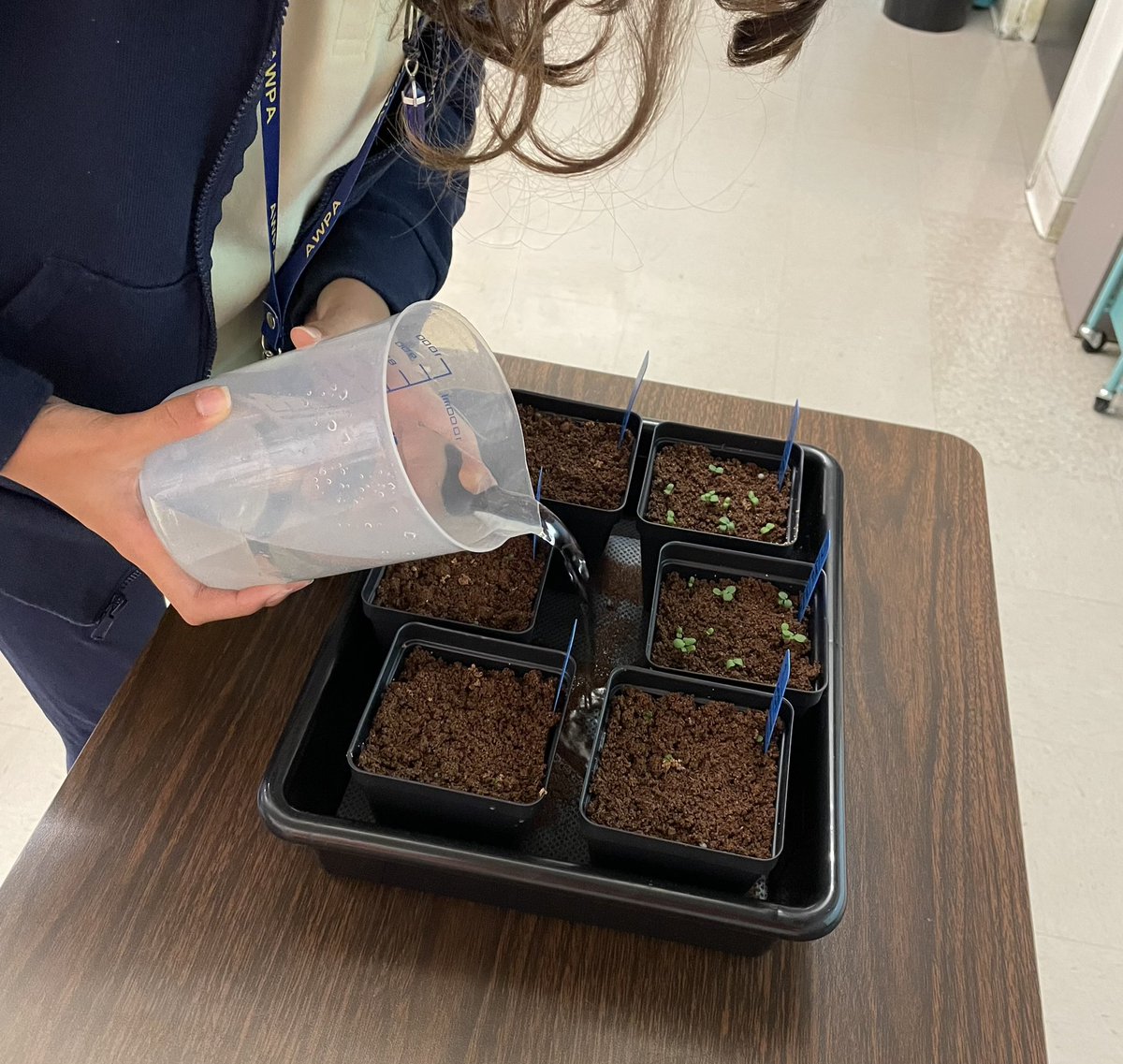 Ms Ro-Do tweet media