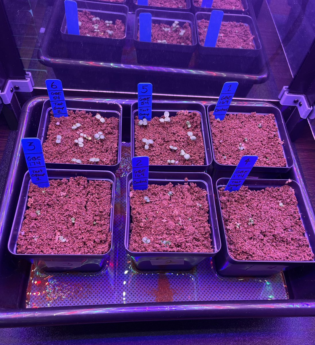 Ms Ro-Do tweet media