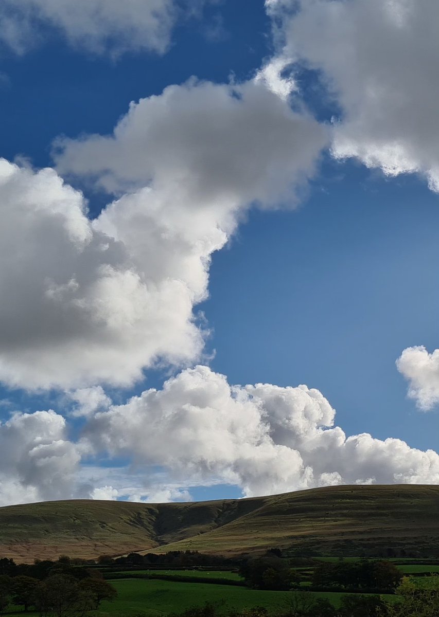 Cumulus. Lovely day here breeze and warming sun's rays. At the P.O. in Llangadog 5 miles away I enthused about it to Dafydd, but no they had had lots of heavy showers. Must have been Cumulus Congestus over Llangadog.