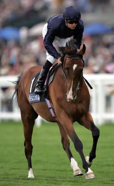 HORSERACING1002's tweet image. DYLAN THOMAS🇮🇪2003
(DANEHILL  - LAGRION BY DIESIS)
#DylanThomas
B/ Tower Bloodstock (Ire) Apr 23, 2003
O/ Coolmore
T/ Aidan O&apos;Brien 
20-10-4-1---
$6,620,852
2006 Hwt at 3 in 🇮🇪11-14f, 14f+.
2007 Champion 🏆 older horse &amp;amp; horse of the year in Europe.