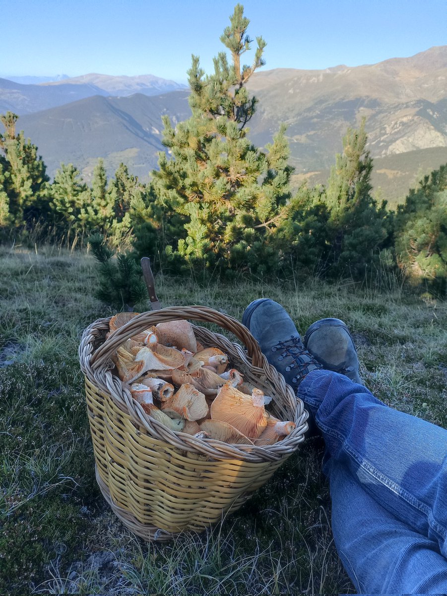 EnricMartinez91's tweet photo. @andreuginola Tota la puta raó! https://t.co/n2toLmYpCO