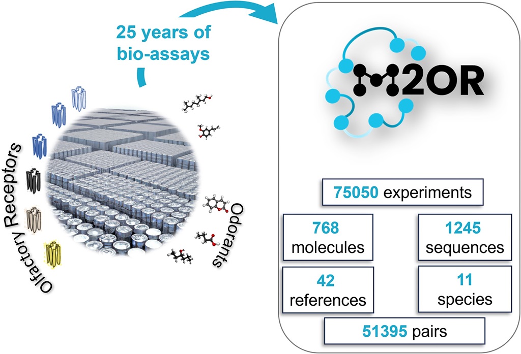 ChemSenSimLab tweet media