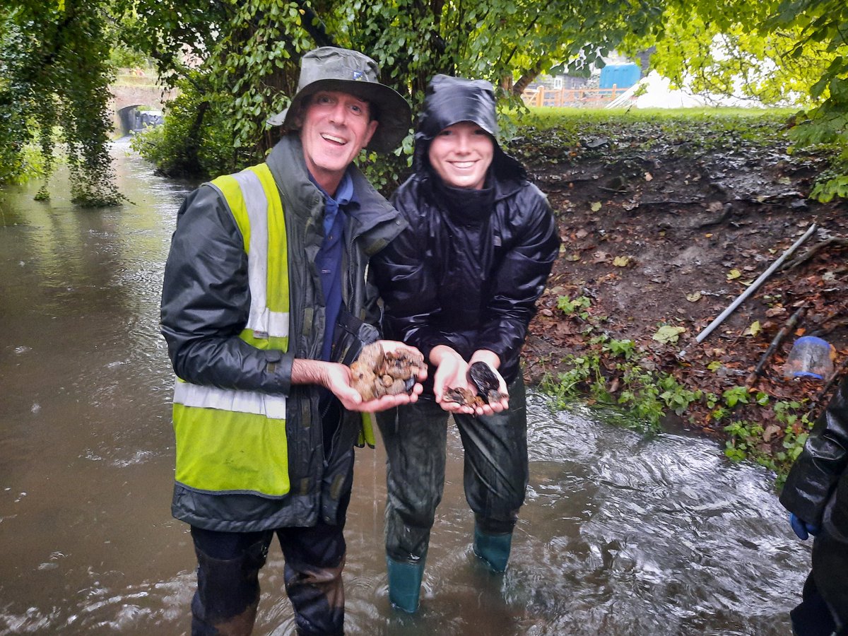 Rob Mungovan tweet media