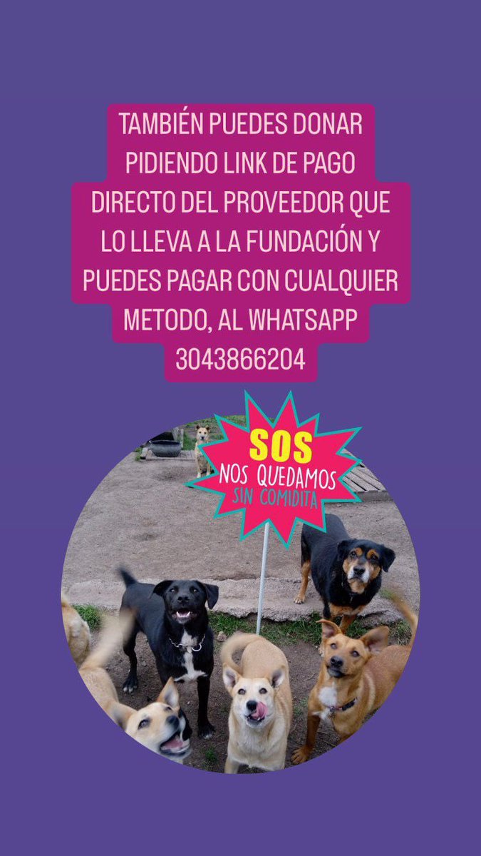 PetAngelsCol 🐱🐶 tweet media