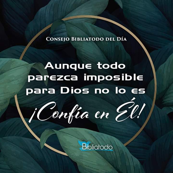LydiaPrez14's tweet photo. Amén ❤️ https://t.co/mi98aKD9ko