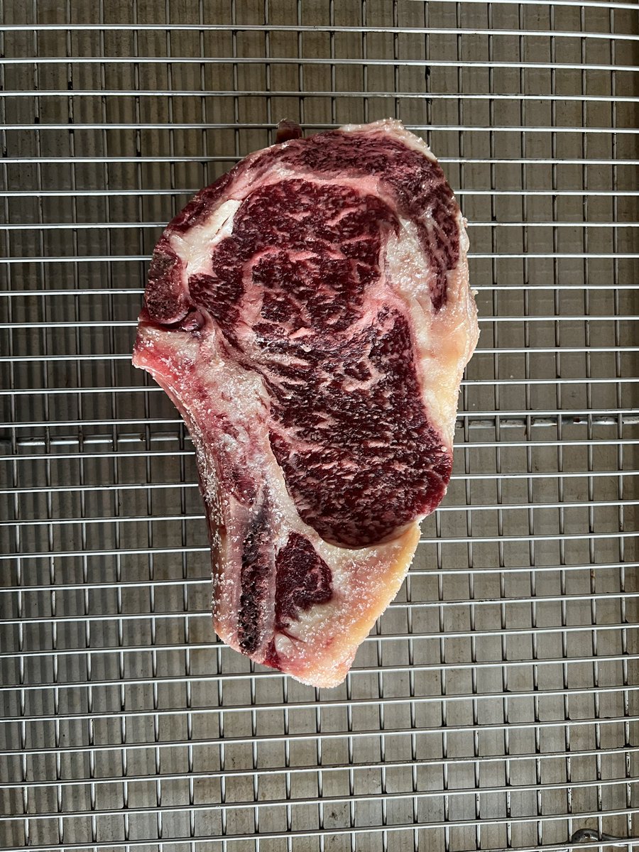 Myles Snider tweet media