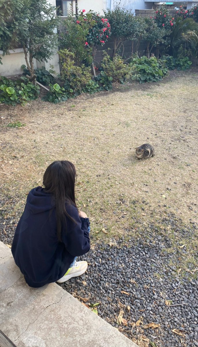 binjjang__'s tweet photo. 아앜기여워 https://t.co/JfgJptDiPy