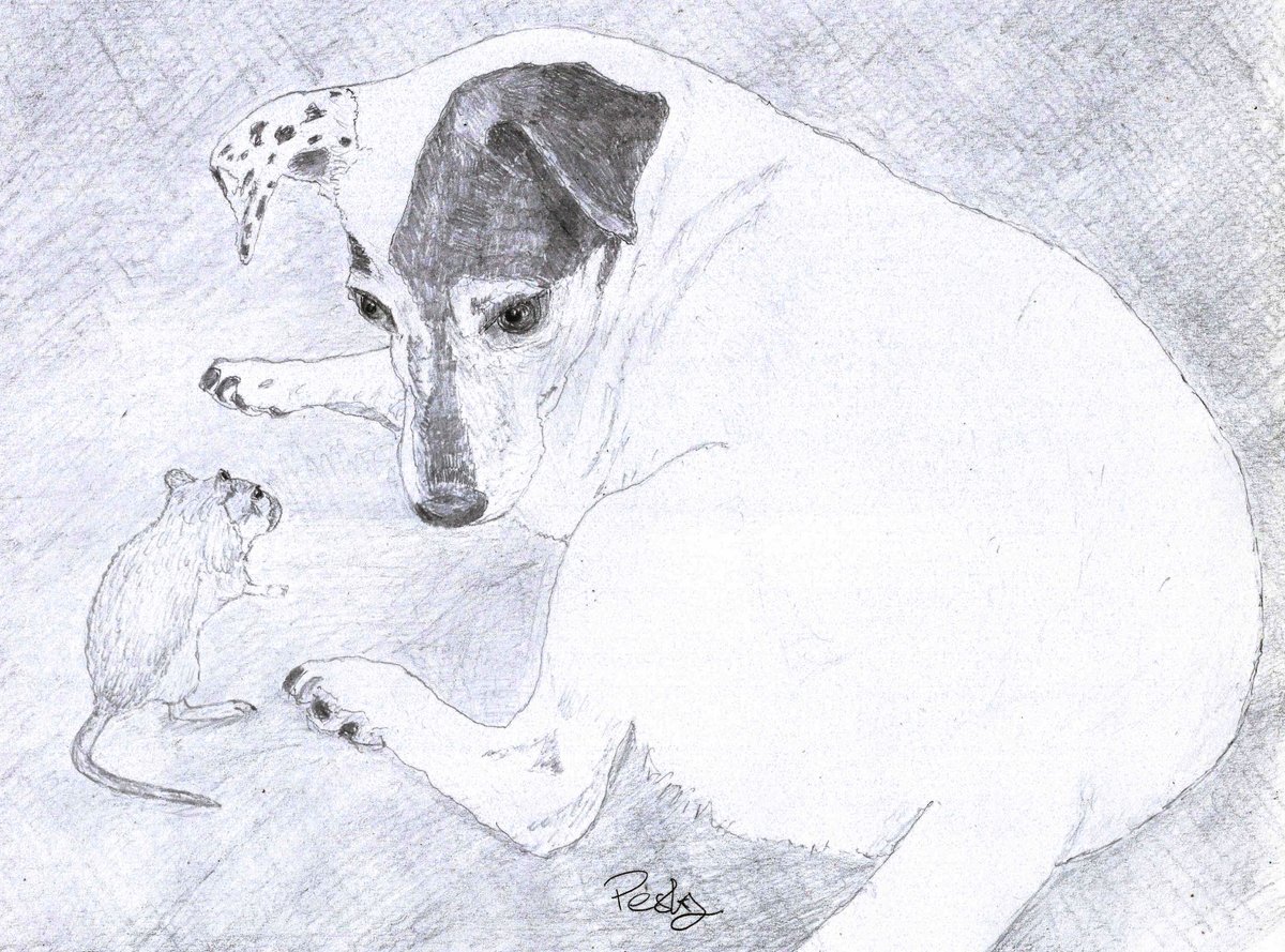 Four years ago today, our beloved Molly passed away.

A better pooch you couldn't get, more of a friend than a pet.

For she could run at near the speed of light
then jump at least ten times her height
to try and catch small birds in flight
A little star who shone so bright