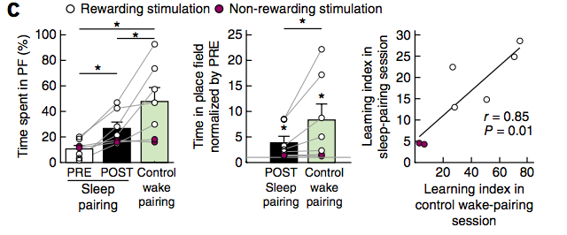 SystemsNeurosc1's tweet photo. @GdeLavilleon When mice did not get rewarding stimulation via the MFB (purple dots), they did not show place preference for the PF. There was also a significant correlation between sleep-learning 😴🧑‍🏫(measured as an increase in time spent in PF from PRE to POST trials) and stimulation of MFB. https://t.co/RYIYPod7As