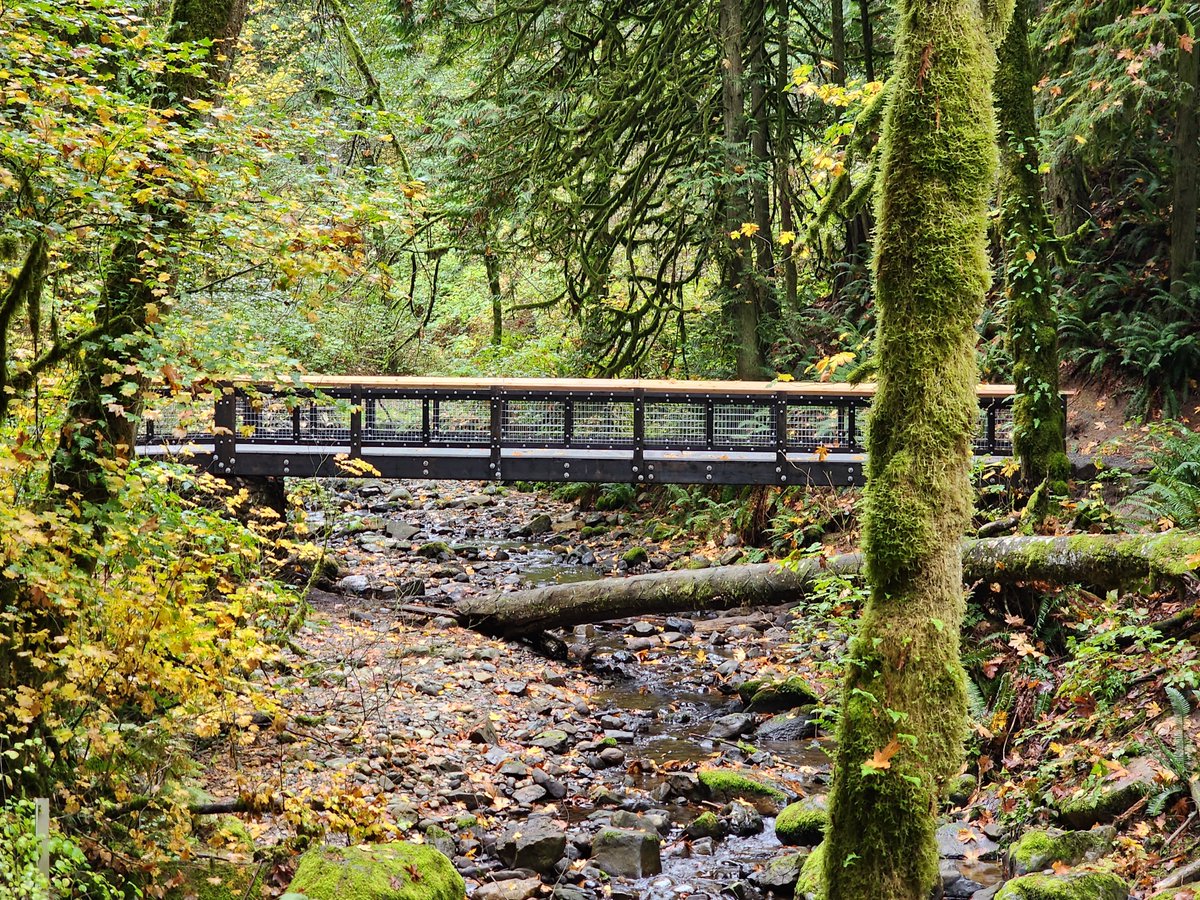 Bellingham Parks & Recreation tweet media