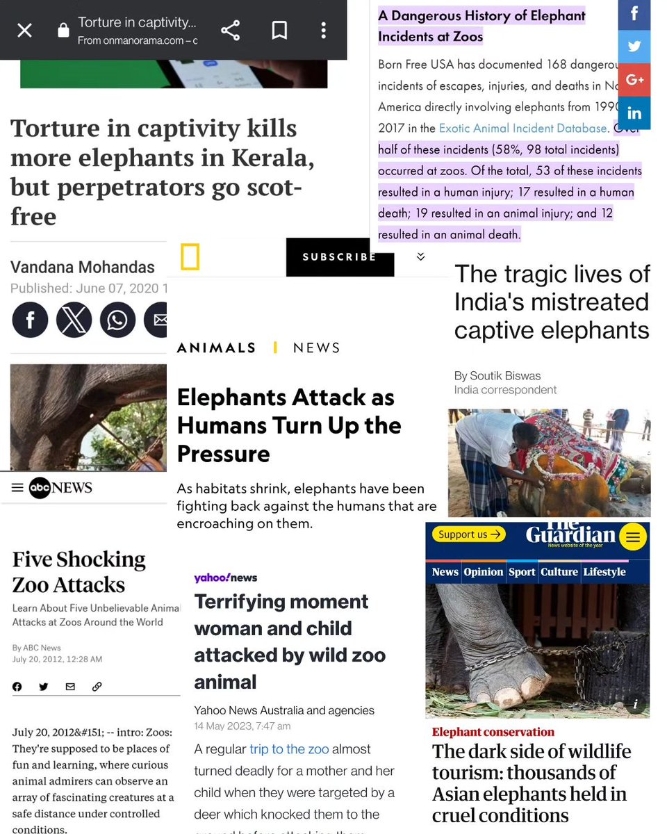 HydAnimalSave's tweet photo. Zoo's are prisons for animals. This stands as strong and painful proof that there is no justification for holding wild animals captive. It only leads to harm for violence and the vulnerable humans in their proximity. https://t.co/XSLPd4hIcn