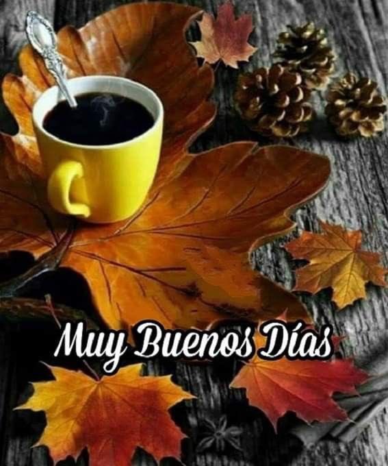 Carlos Roma🇲🇽 tweet media