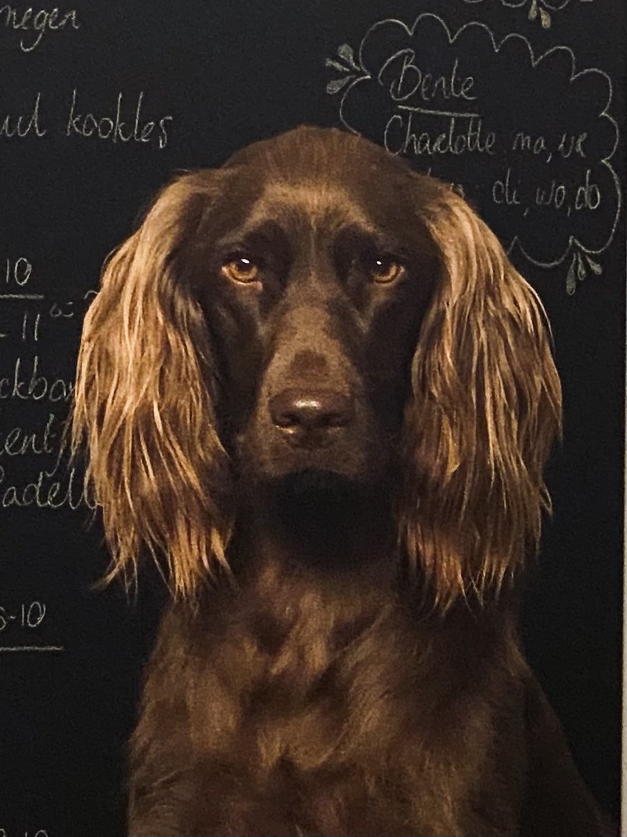 Paul Netten tweet media