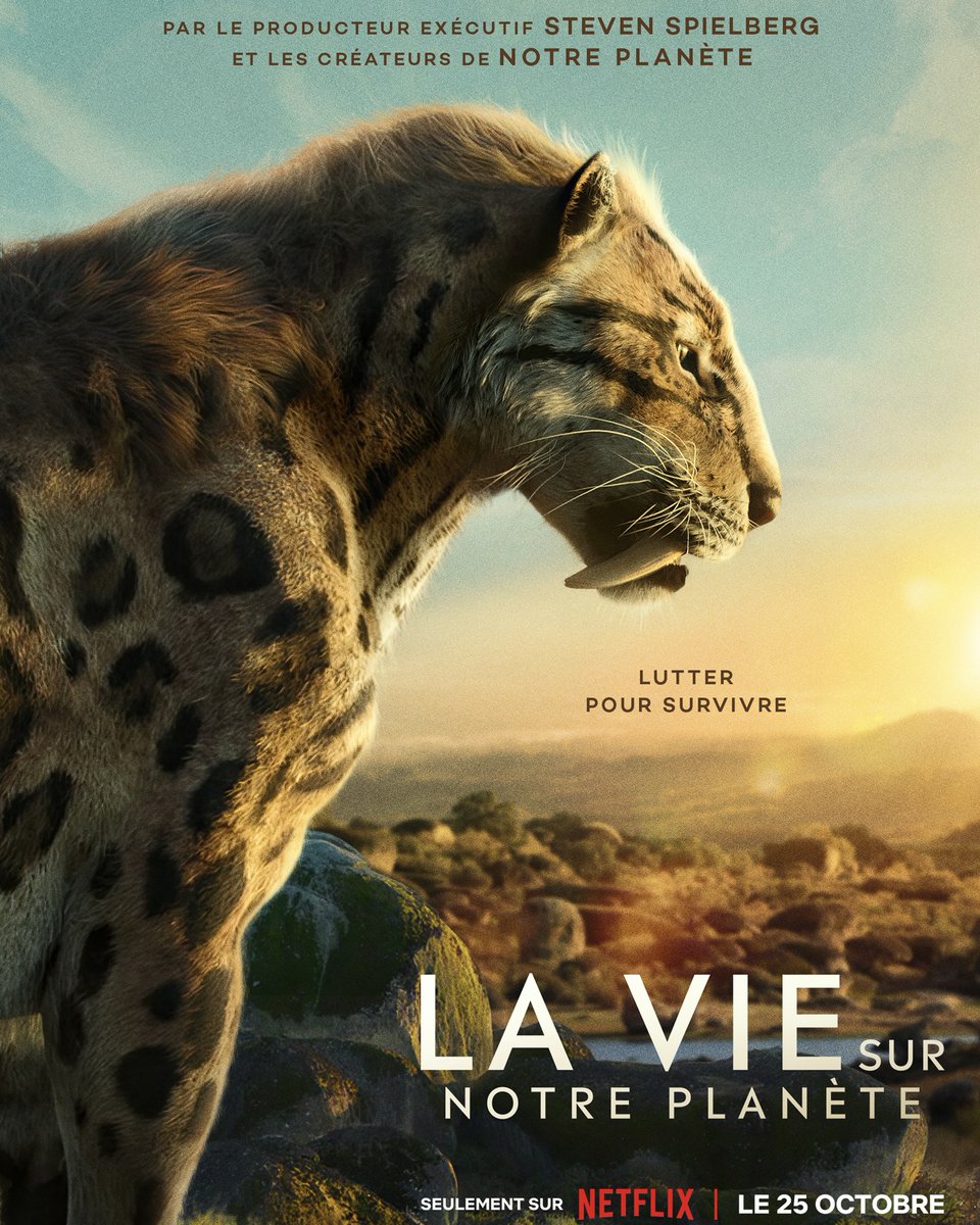NetflixFR's tweet photo. Demain, à 9h01. https://t.co/B8Mog5w3V0