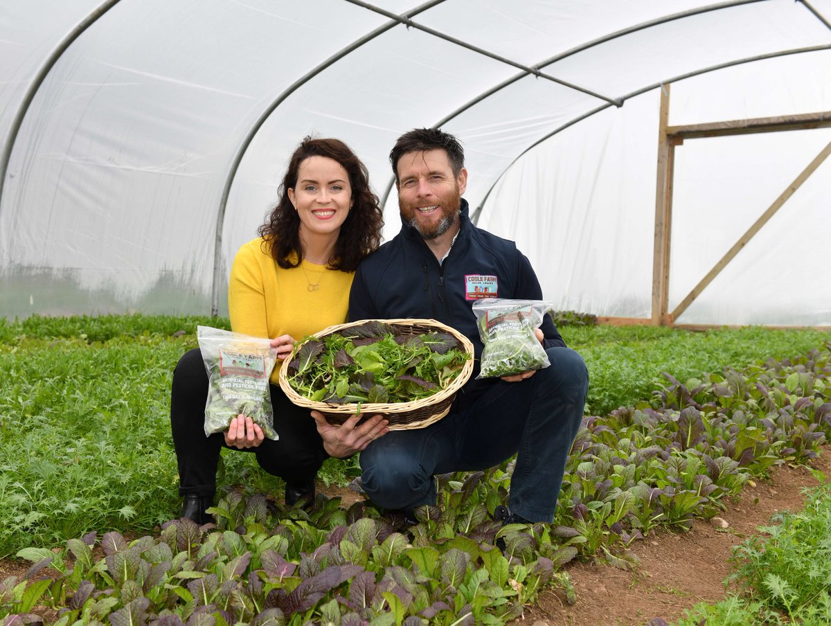 Euro-toques Ireland tweet media