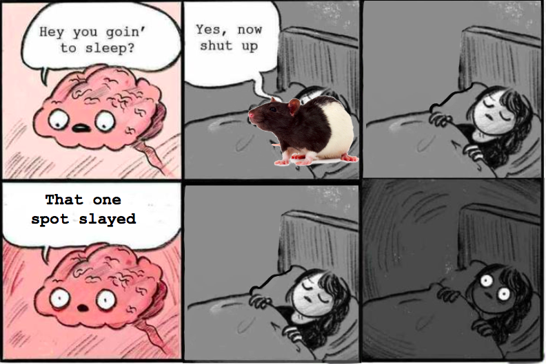 SystemsNeurosc1's tweet photo. @GdeLavilleon So to conclude, the researchers induced explicit memory traces, leading to a goal-directed behavior toward the PF. Their findings demonstrate that place cells’ activity during sleep still conveys relevant spatial information that is functionally significant for navigation. https://t.co/680qrU43yV