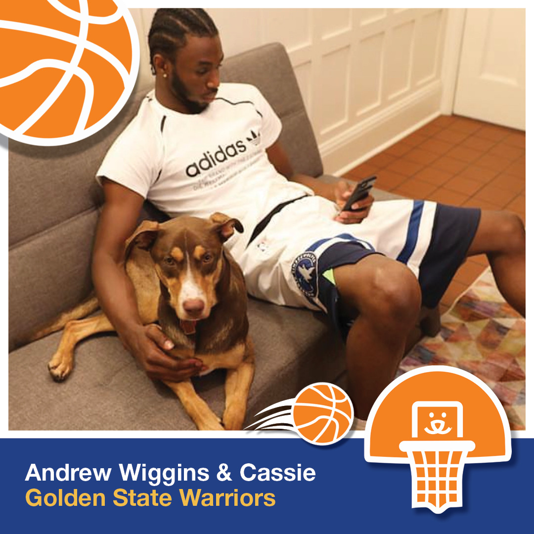 bestfriends's tweet photo. 🏀🐾 Rescue pets are a slam dunk! 🐾🏀

It's NBA Opening Day &amp; the excitement is real! 🙌 Check out these NBA stars &amp; their rescue pets – proof that adopting is nothing but net! 🏀❤️ Keep the feel-good vibes going &amp; adopt your own furry friend at your local shelter. 🐶🐱 ^kb https://t.co/KFUKDsOmKp