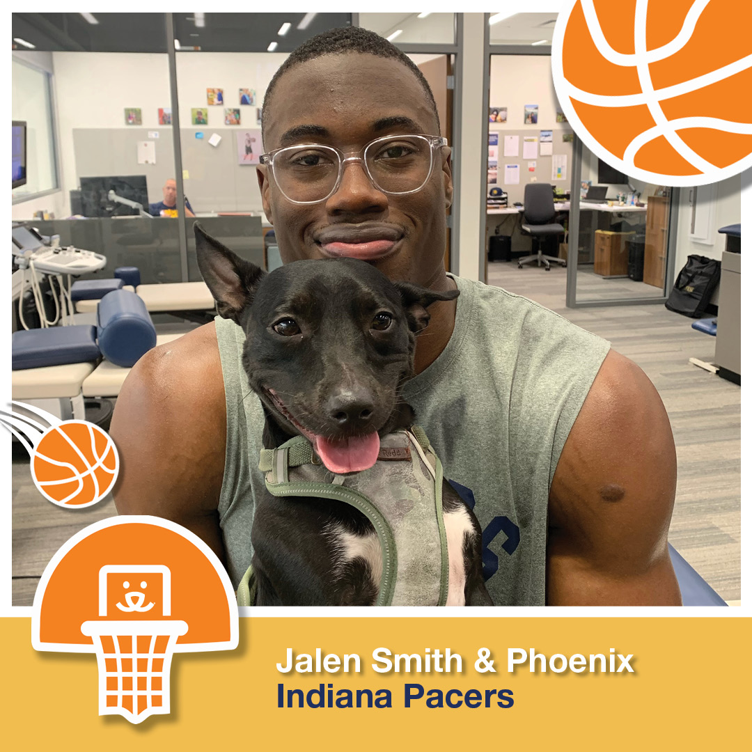bestfriends's tweet photo. 🏀🐾 Rescue pets are a slam dunk! 🐾🏀

It's NBA Opening Day &amp; the excitement is real! 🙌 Check out these NBA stars &amp; their rescue pets – proof that adopting is nothing but net! 🏀❤️ Keep the feel-good vibes going &amp; adopt your own furry friend at your local shelter. 🐶🐱 ^kb https://t.co/KFUKDsOmKp