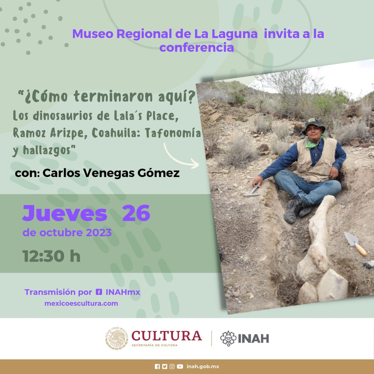 MuseoMUREL tweet media