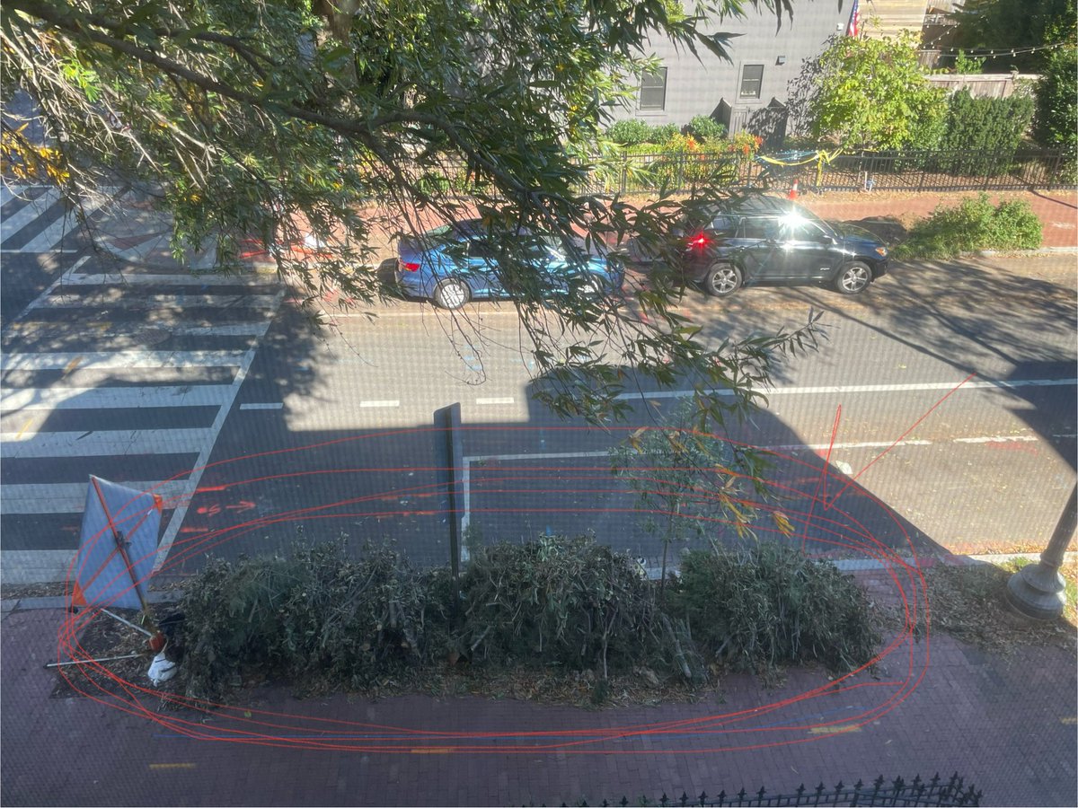BNouman's tweet photo. @311DCgov- I’ve been struggling for the past 3 weeks to get someone come and pick up tree branches. They’ve been sitting on the sidewalk and neighbors are complaining. Created 3 tickets so far 2 in which were closed without completing the request! HELP https://t.co/lWSLCrYa7H